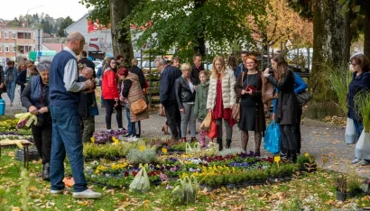 Foto: Predrag Uskoković/Grad Daruvar