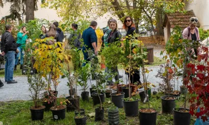 Foto: Predrag Uskoković/Grad Daruvar