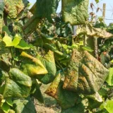 Foto: Ministarstvo poljoprivrede