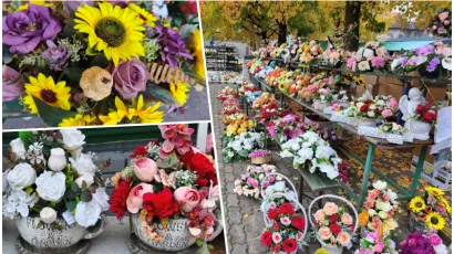 Foto: Gradska tržnica Daruvar