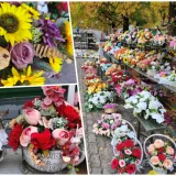 Foto: Gradska tržnica Daruvar