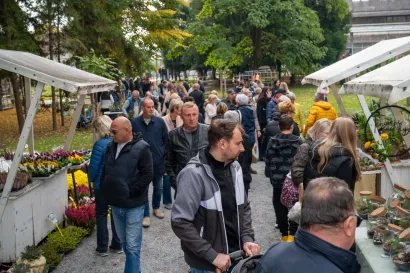 Foto: Predrag Uskoković/Grad Daruvar