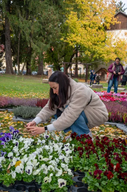 Foto: Predrag Uskoković/Grad Daruvar