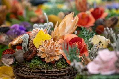 Foto: Predrag Uskoković/Grad Daruvar