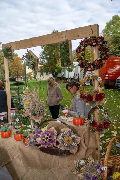 Foto: Predrag Uskoković/Grad Daruvar