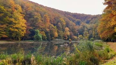 bajkoviti prizori u Slavoniji/Foto: Udruga Lipa Garešnica