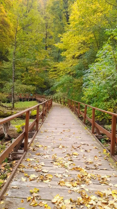 Jesenska šetnja bila je pun pogodak/Foto: Udruga Lipa Garešnica
