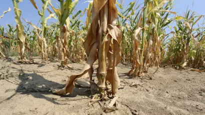 Prošlašena je vremenska nepogoda za područje Garešnice i Štefanja/Foto: Emica Elvedji/CROPIX (Ilustracija)