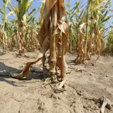 Prošlašena je vremenska nepogoda za područje Garešnice i Štefanja/Foto: Emica Elvedji/CROPIX (Ilustracija)