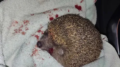 Foto: Mirjana Oliver