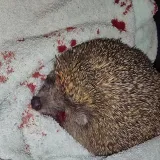 Foto: Mirjana Oliver