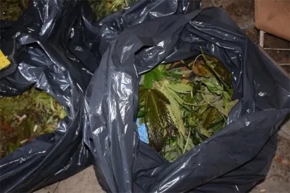 Foto: PU bjelovarsko-bilogorska