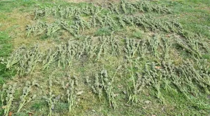 Foto: PU bjelovarsko-bilogorska