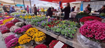 Ovih dana kupuju se aranžmani za groblja/Foto: Grad Bjelovar