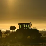 Foto: Tom Dubravec/CROPIX (ilustracija)