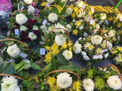 Foto: Gradska tržnica Daruvar