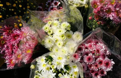 Foto: Duje Klarić/CROPIX