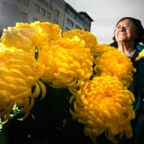 Foto: Damjan Tadić/CROPIX