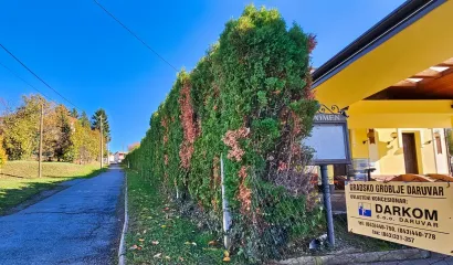 Živica na ulazu u Gradsko grobljeFoto: Nikica Puhalo/MojPortal.hr