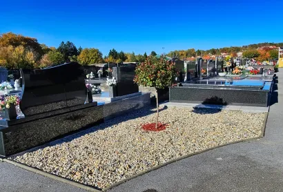 Posađena su nova stabla/Foto: Nikica Puhalo/MojPortal.hr