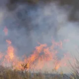Foto: Željko Hajdinjak/CROPIX (ilustracija)