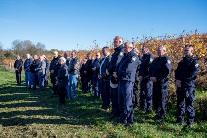 Foto: Predrag Uskoković/Grad Daruvar