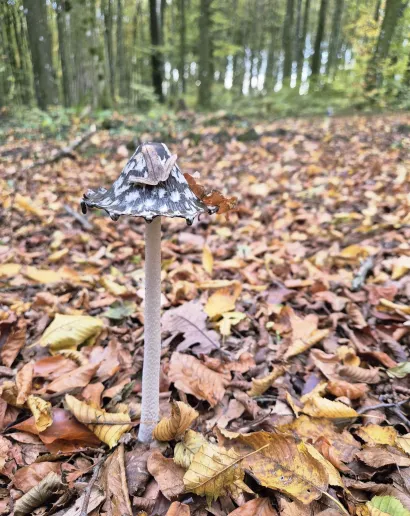 Snježana obožava fotografiju/Foto: Privatni album