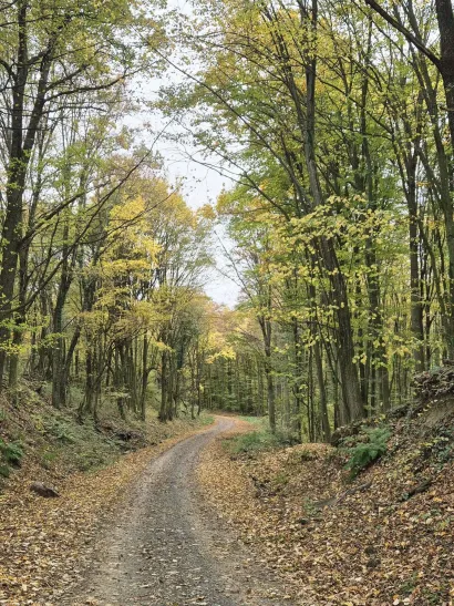 Foto: Privatni album