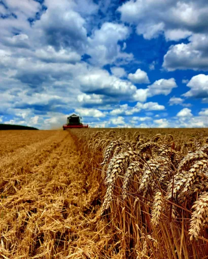 Foto: Snježana Farkaš