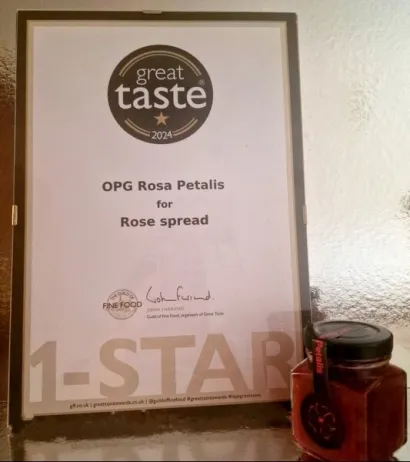 Međunarodno priznanje za kvalitetu/Foto: Privatni album