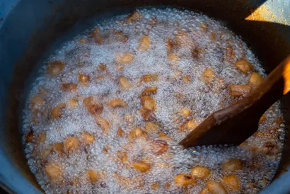 Foto: TZP Južna Bilogora