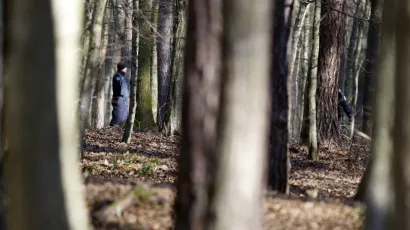 Policija traga za šumskim lopovima/ Foto: Željko Hajdinjak/Cropix (ilustracija)