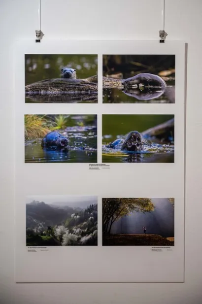 Foto: Predrag Uskoković