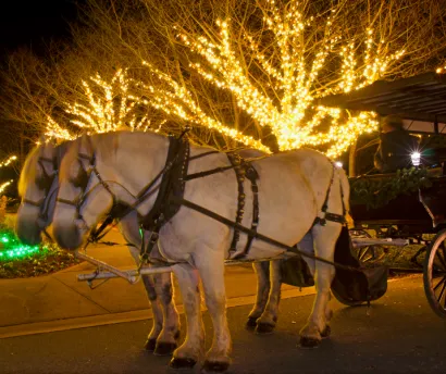 Foto: Advent u Bjelovaru PROMO