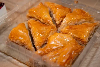 Foto: Predrag Uskoković/Grad Daruvar