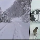 Foto: Dalija Čuljat Nagy, čitatelj