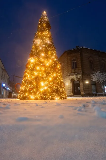 Foto: Tibor Javurek/TooCool produkcija