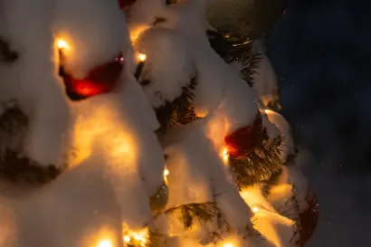 Foto: Tibor Javurek/TooCool produkcija