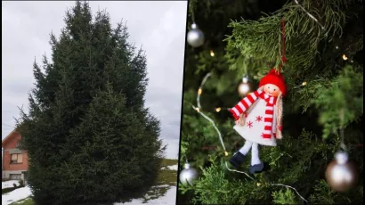 Foto: Privatni album i Freepik