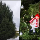 Foto: Privatni album i Freepik