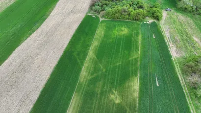 Ostaci samostana sv. Augustina vidljivi u polju u Badljevini/Foto: Krešimir Vacek