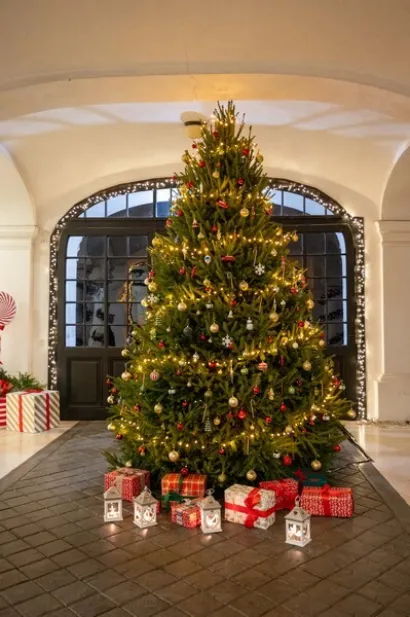 Foto: Predrag Uskoković