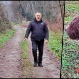 Vlasnik Saša Premec pronašao je zaljubljenog Tedija u šumi i vratio ga kući/Foto: Privatrni album