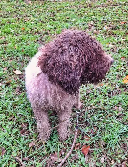 Foto: Privatrni album