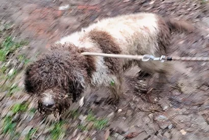 Foto: Privatrni album