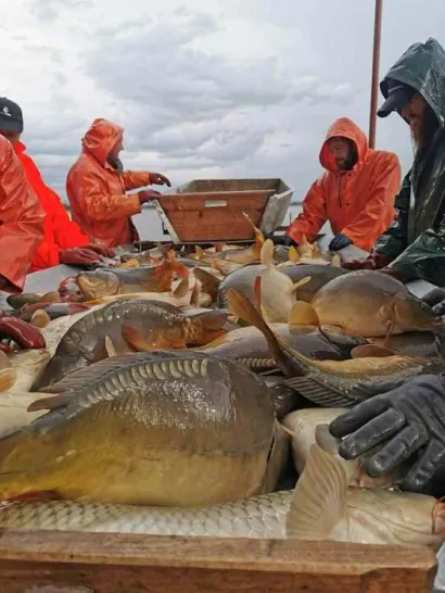 Foto: Ribnjačarstvo Končanica