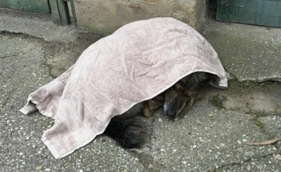 Foto: Szaszi Radone/Facebook