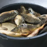 Foto: Vlado Kos/Cropix (Ilustracija)