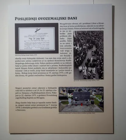 Foto: Predrag Uskoković/Grad Daruvar