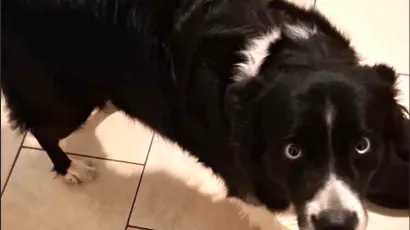 Foto: Privatni album